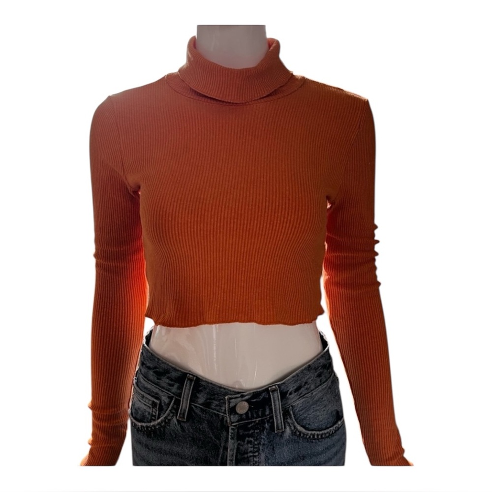 🟣 2/$20 - Aritzia Orange Turtleneck Sweater